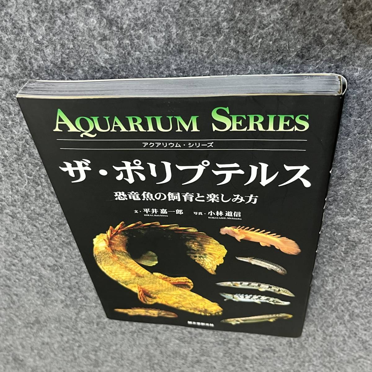 ザ・ポリプテルス アクアリウム・シリーズ ザ・ポリプテルス アクアリウム・シリーズ