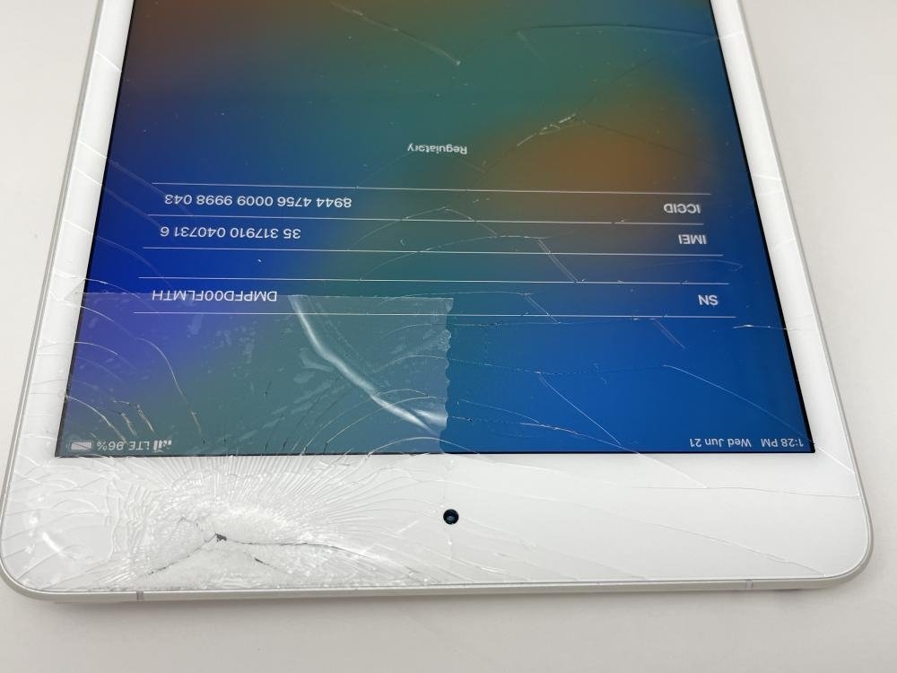 577【ジャンク品】 iPad mini 第5世代 256GB Apple 国内版SIM フリー