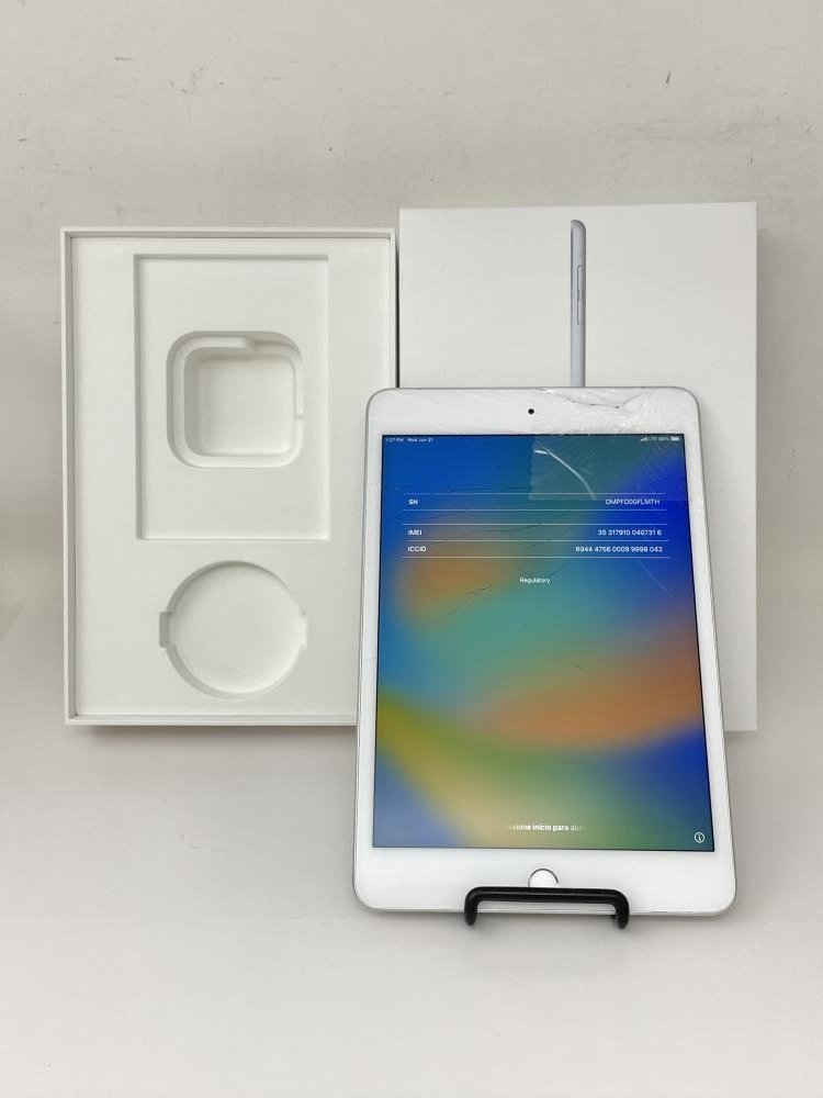 577【ジャンク品】 iPad mini 第5世代 256GB Apple 国内版SIM フリー