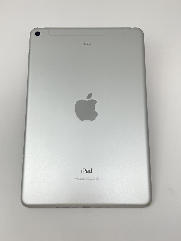 577【ジャンク品】 iPad mini 第5世代 256GB Apple 国内版SIM フリー