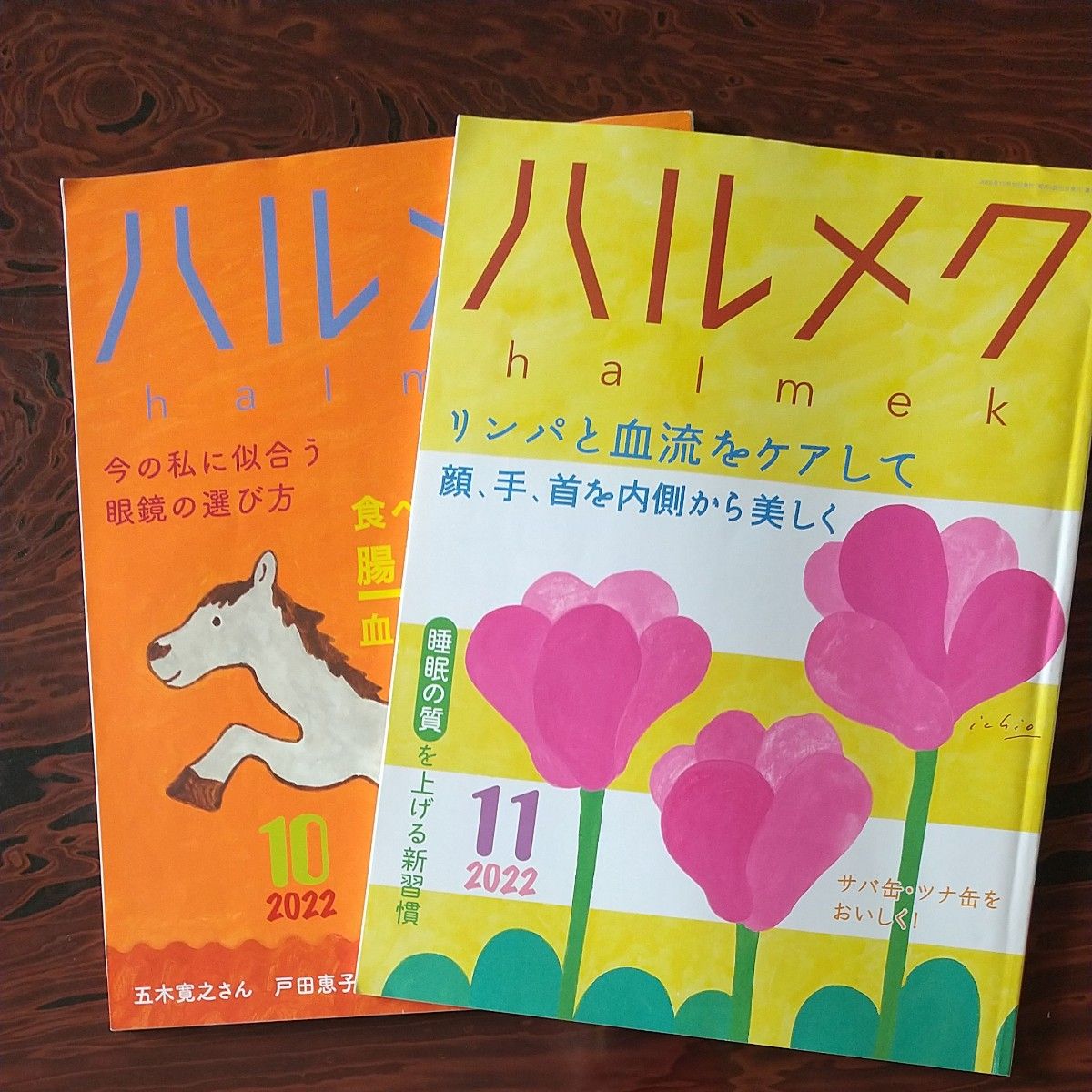 ハルメク2022 10 11月号 2冊 | www.fraynacho.com