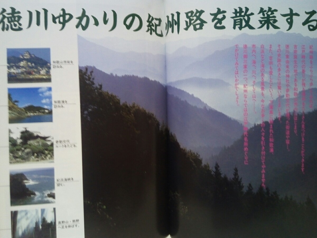 ◆◆八代将軍吉宗の里 紀州探訪◆◆名君 徳川吉宗 吉宗展 和歌山県ガイド☆紀州東照宮 和歌山城 紀の川 紀州ゆかりの人 高野山 熊野 紀州路_画像5