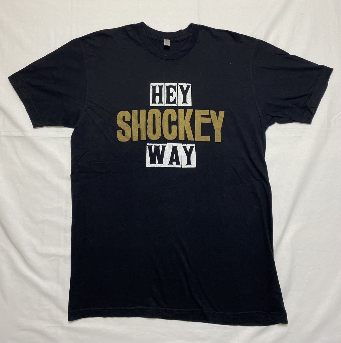 アメリカンアパレル USA製 Tシャツ HEY SKOKEY HEY サイズ L アメリカ製  ブラックの画像2