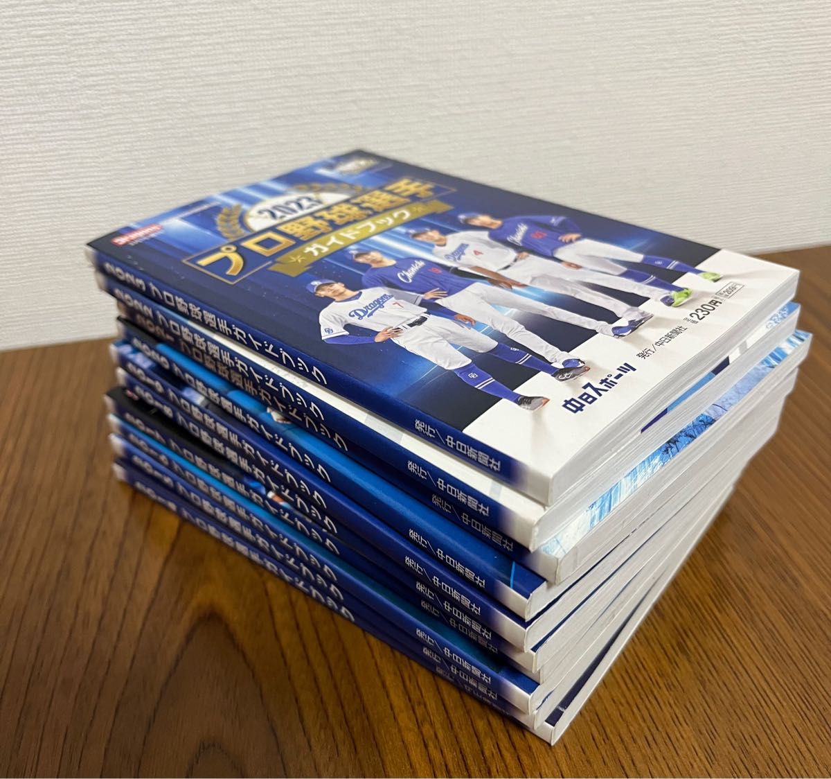 【非売品】中日スポーツ発行　プロ野球選手ガイドブック2014年~2023年