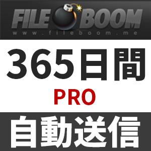 絶品】 【自動送信】Fileboom PRO 安心のサポート付【即時対応】 365