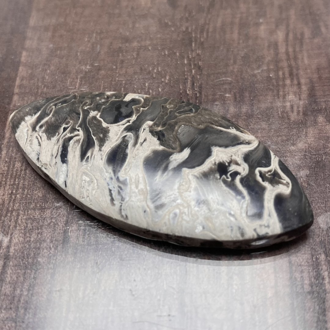ペトリファイド パームウッド(珪化木) ルース 天然石 化石 a10052