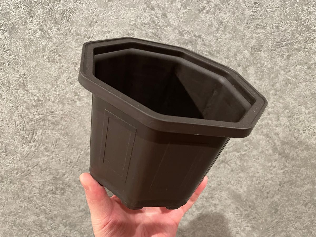 台湾八角鉢 5号 ブラック 6個セット / アガベ 塊根植物 スリット 台湾八角鉢 5号 ブラック 6個セット / アガベ 塊根植物 スリット