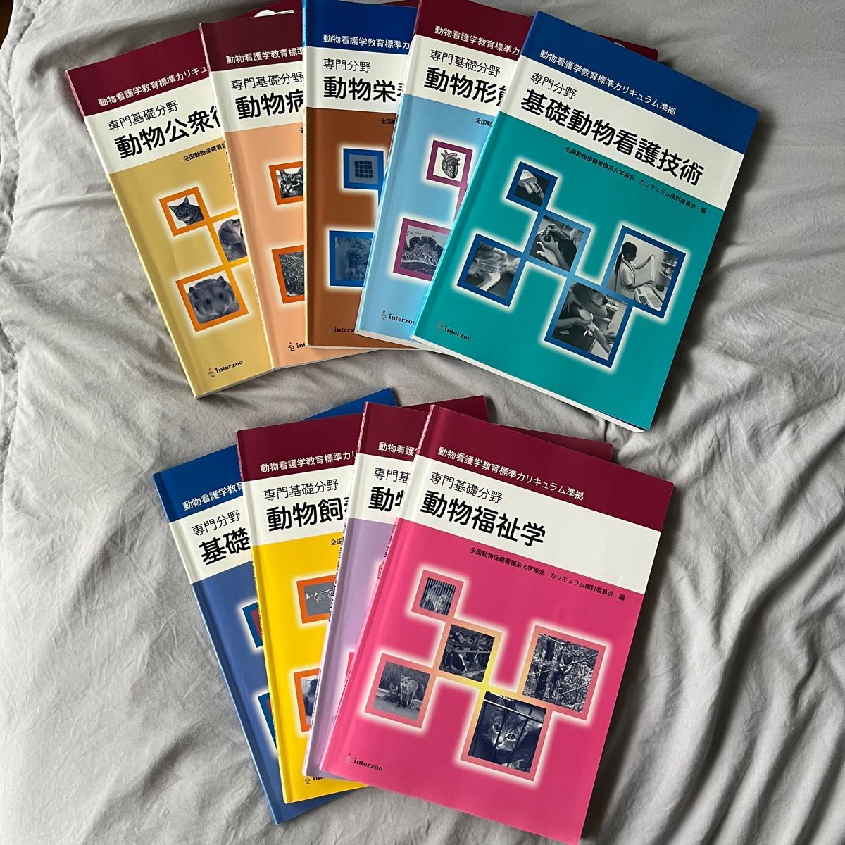 専門基礎分野　動物看護学教育標準カリキュラム準拠　9冊セット/動物公衆衛生学/動物病理学/動物栄養管理学/動物携帯機能学/他…