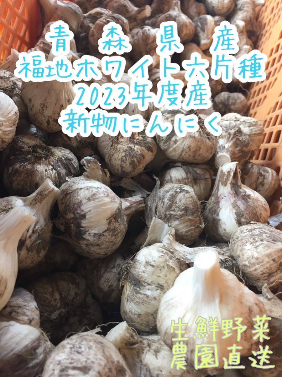青森県産にんにく 福地ホワイト六片種 2023年度産 ニンニク Sサイズ