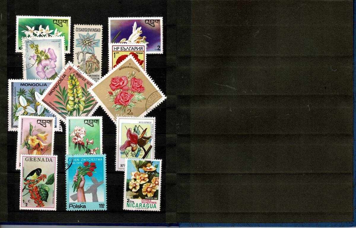 世界の花　切手　100種