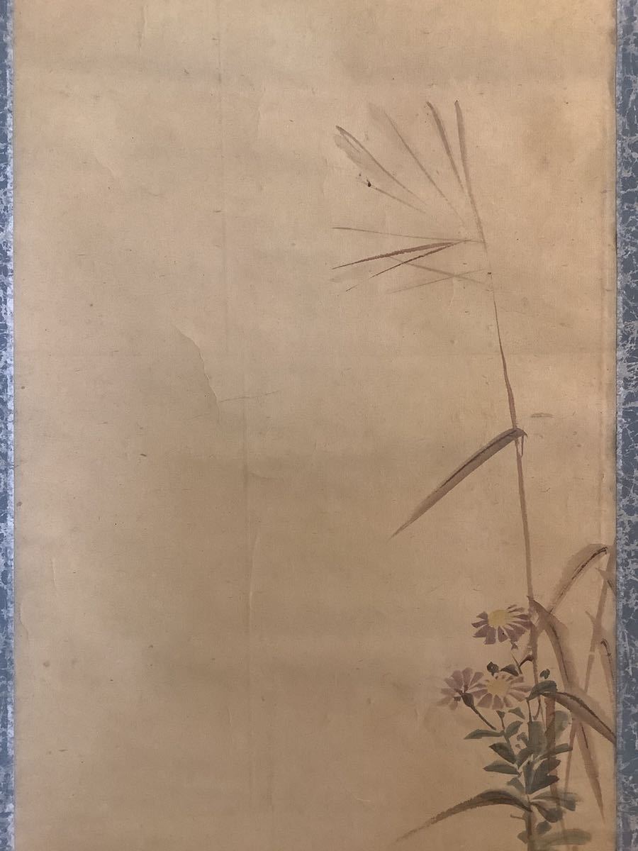 【模写】掛軸Jun563[岸連山 鶉図]彩色紙本 書いたもの／日本画 花鳥画 江戸時代後期 岸派絵師 京都 古書 士道 岸駒の養子の画像4