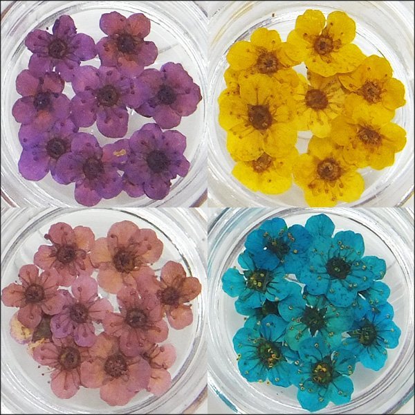  pressed flower (B) 12 kind set clear case entering deco parts nail art resin hand made dry flower mail service /10