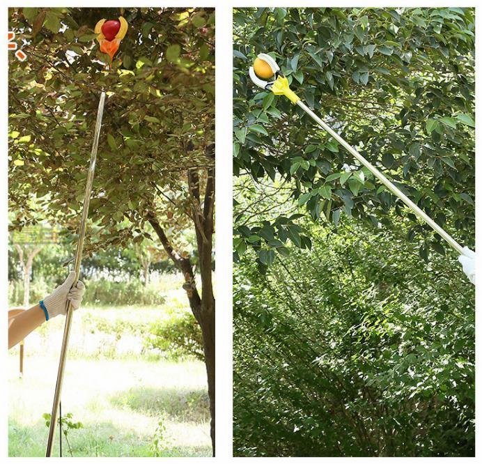  practical use * fruit tree for fruit .. portable fruit picker fruit catcher flexible steering wheel attaching flexible type 1.8m-3m PE aluminium alloy made 