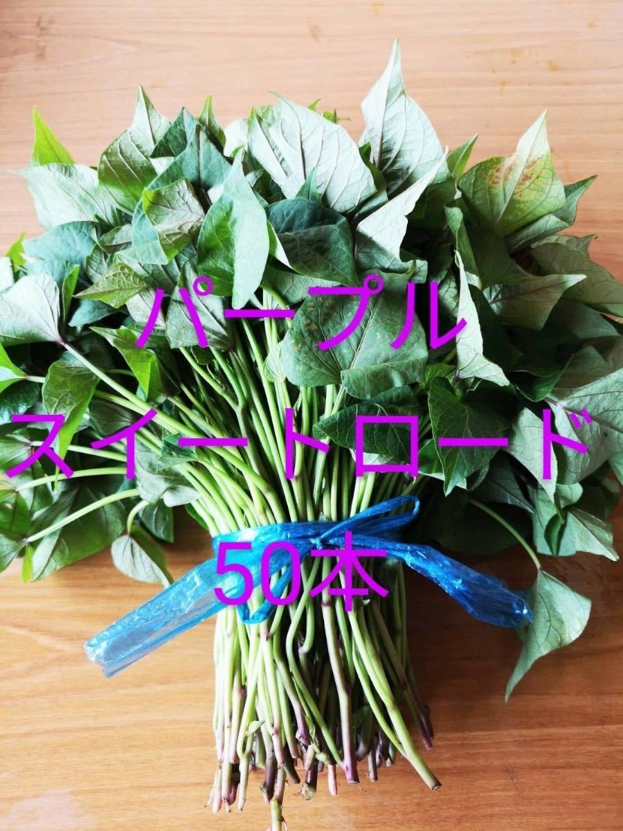 ② パープルスイートロード 50本 さつまいも 苗 紫芋 | anjale.lk