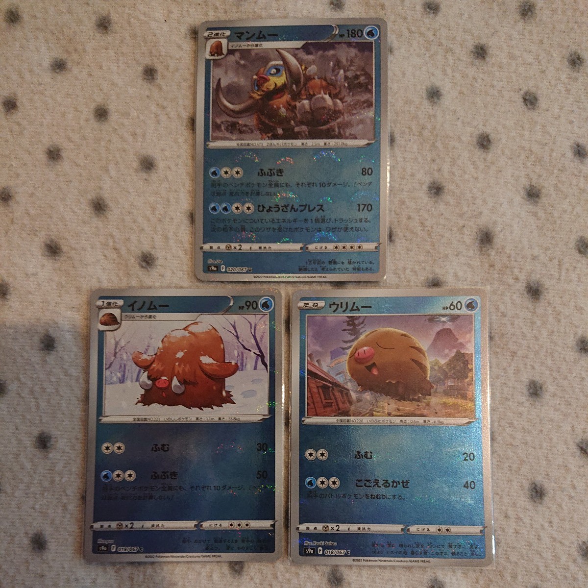 ポケモンカード s9a ☆ マンムー ミラー ホロ 進化セット ポケモンカード s9a ☆ マンムー ミラー ホロ 進化セット