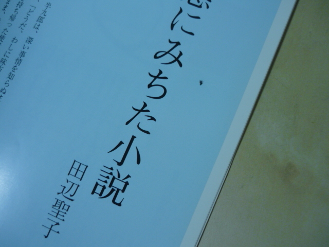  separate volume sun Fujisawa Shuhei author guide * work guide 