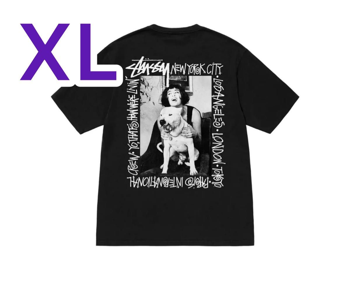 STUSSY HOW WERE LIVIN PIGMENT DYED TEE|PayPayフリマ