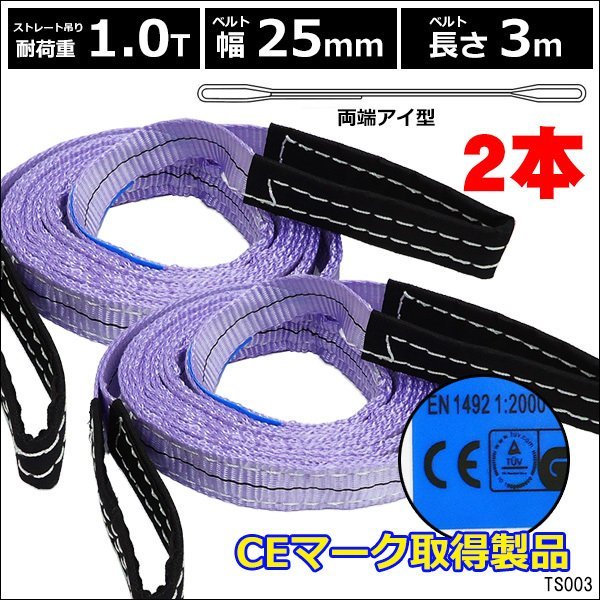 CE規格品 ナイロンベルトスリング 25mm×3m ストレート吊1T【2本セット】両端アイ型/22Ξ_画像1