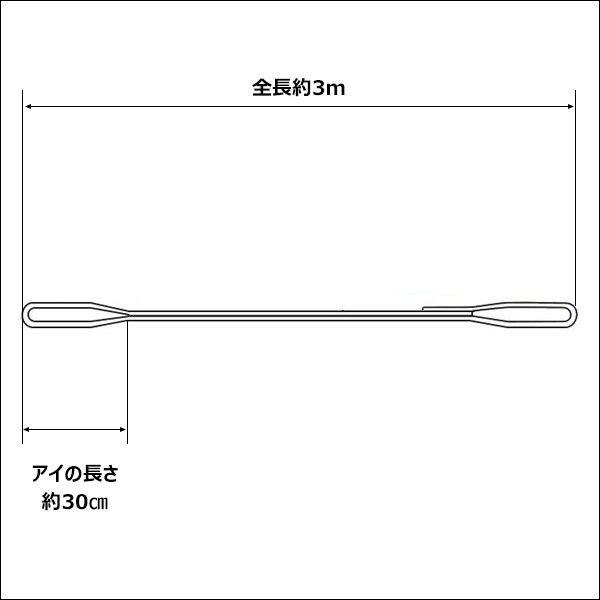 CE規格品 ナイロンベルトスリング 25mm×3m ストレート吊1T【2本セット】両端アイ型/22Ξ_画像8