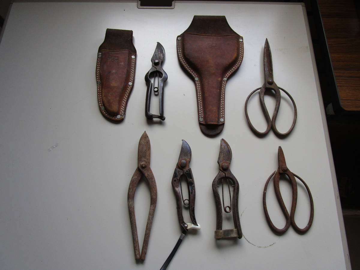  gardening * branch cut pruning scissors 6 point set * together * leather made exclusive use holder attaching * one part registration trademark equipped 