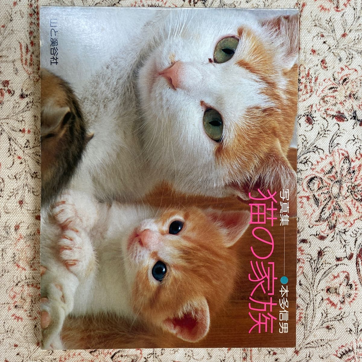 猫の家族195×255㎜60ページ、田舎の猫、ねむり猫160×185㎜31ページ 3冊の写真集　山と渓谷社発行