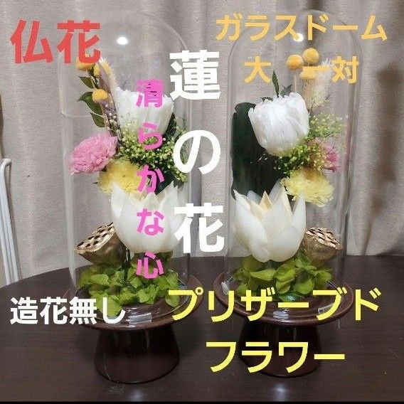仏花　蓮の花　ガラスドーム　大　一対　造花無し　プリザーブドフラワー Yahoo!フリマ（旧）