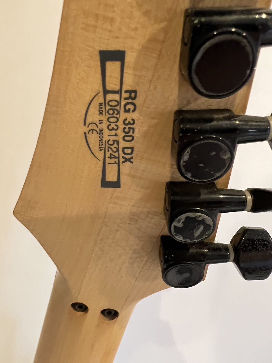 Ibanez アイバニーズ RGシリーズ RG350DX ソフトカバー付き エレキ