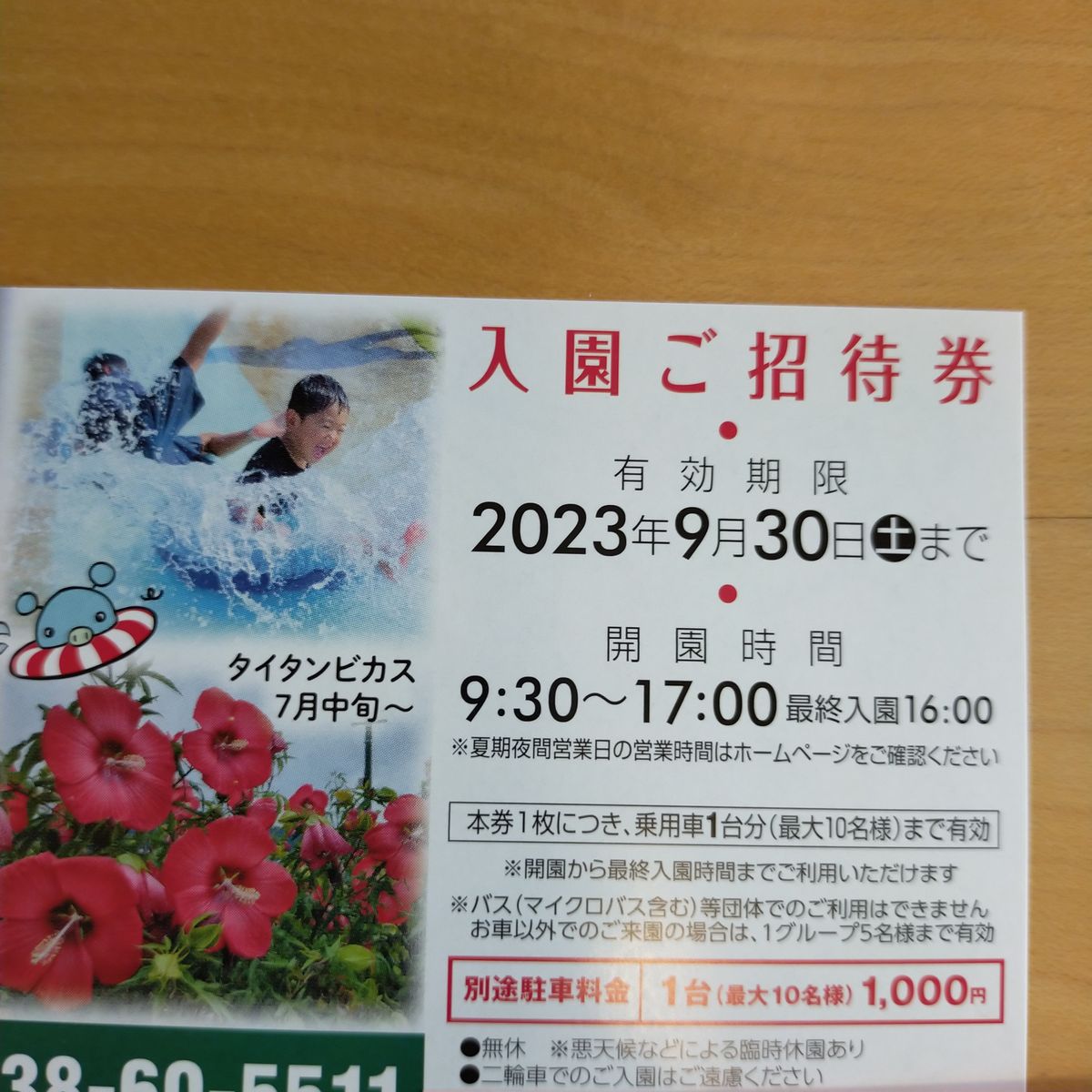 東京ドイツ村 入園ご招待券 1枚 有効期限:2023年9月30日まで 遊園地