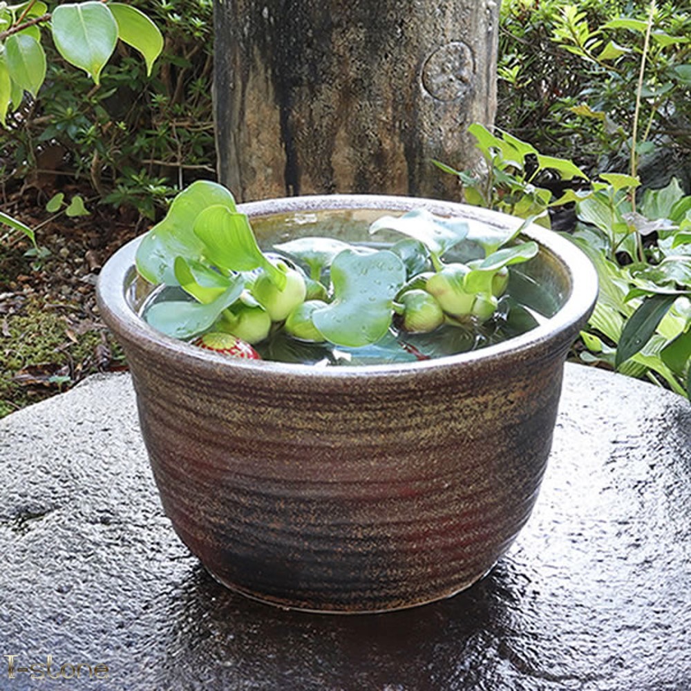  круглый аквариум Shigaraki . керамика производства . есть чай цвет. водяная лилия горшок модный интерьер сад . двор японский стиль .. избыток японский лето способ . товары для домашних животных садоводство надувной круг 