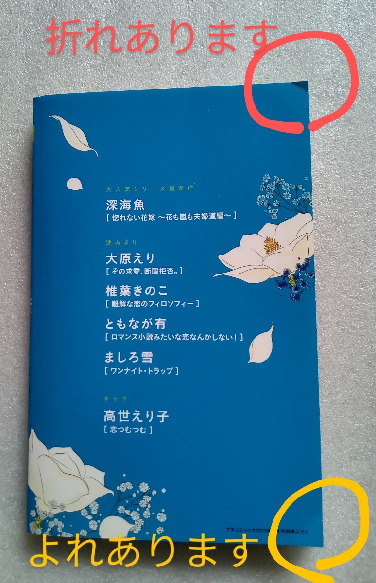 プチコミック 2023年6月号 別冊ふろくVol．9 深海魚 大原えり 椎葉きのこ ともなが有 ましろ雪 高世えり子 ※別冊ふろくのみ_画像4