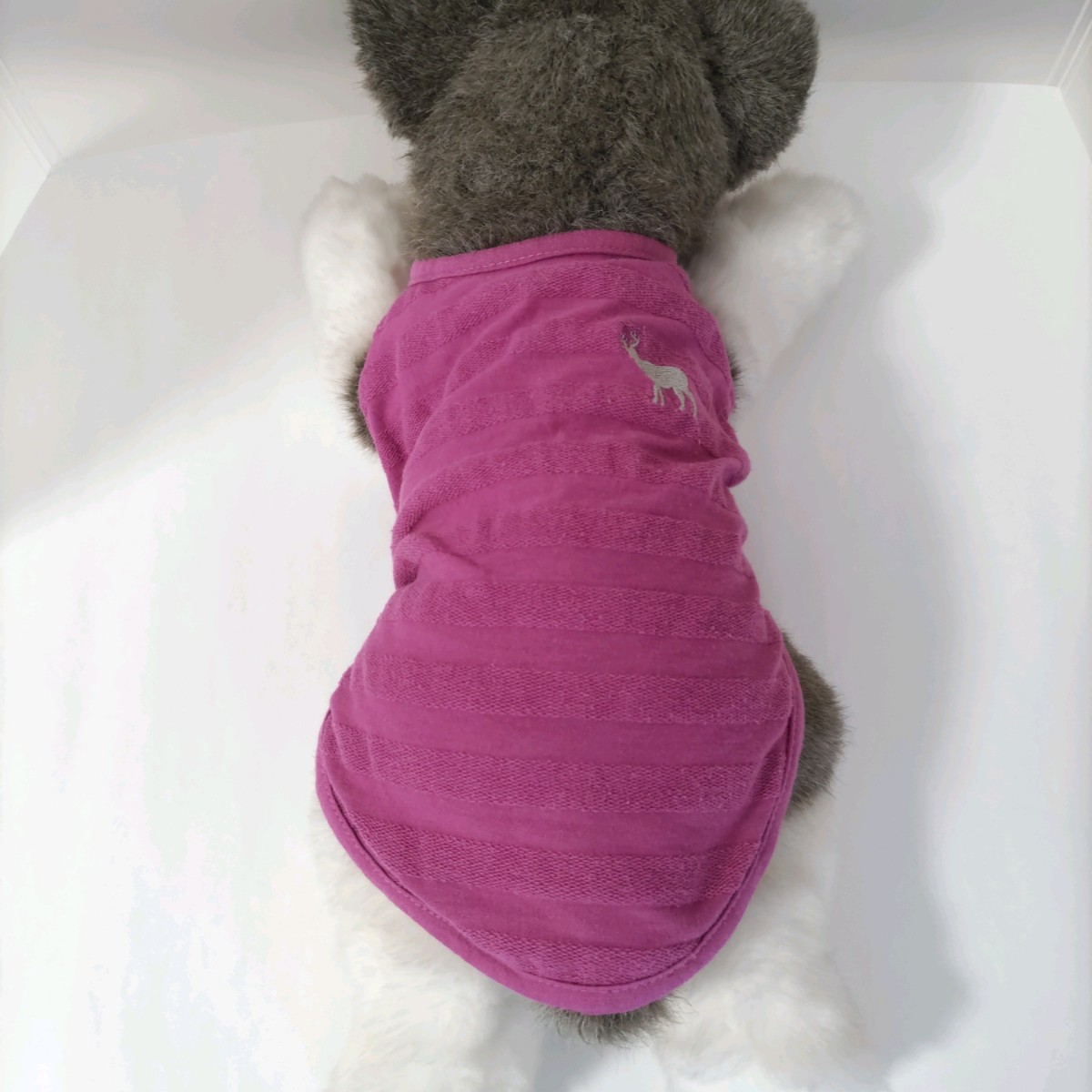 犬服 Pecolle アイリスオーヤマ パープル サイズ不明 ※ぬいぐるみは参考画像です商品に含まれません の画像8