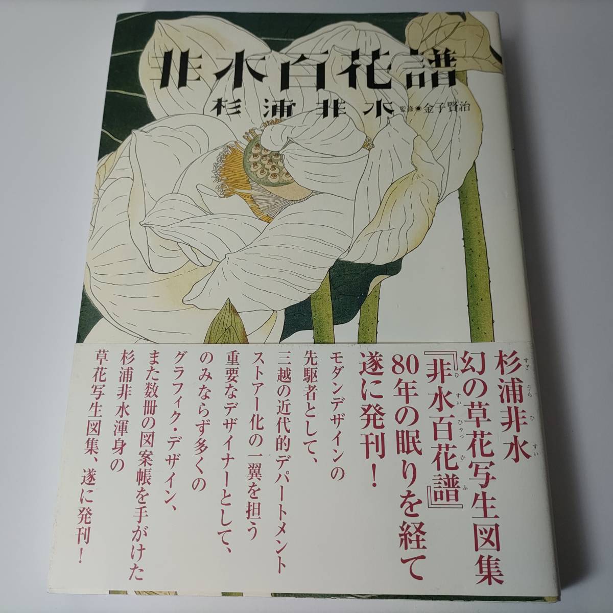 非水百花譜 杉浦非水 (著) 金子賢治 (監修) ランダムハウス講談社_画像1