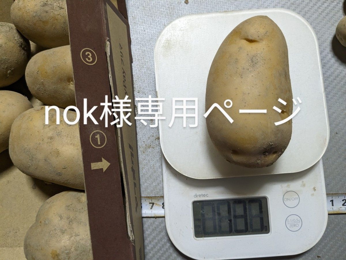 nok様専用ページ じゃがいも|PayPayフリマ