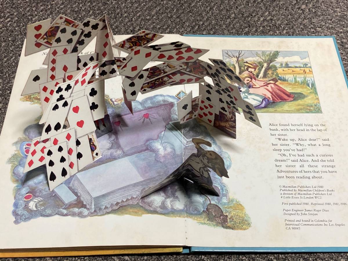  mystery. country. Alice device picture book stone chip puts out picture book English version 