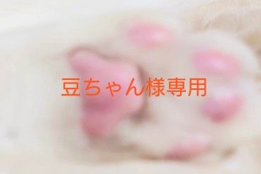 豆ちゃん様専用です｜PayPayフリマ