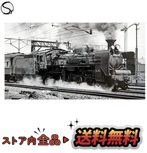 W49992】国鉄Ｃ55 流線型II 蒸気機関車 (塗装済完成品) abitur.gnesin