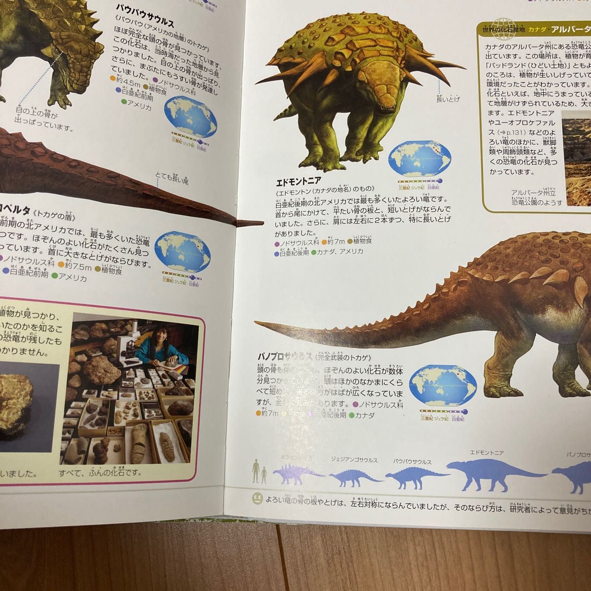 小学館の図鑑NEO 恐竜 DVD無し|Yahoo!フリマ(旧PayPayフリマ) 小学館の図鑑NEO 恐竜 DVD無し|Yahoo!フリマ(旧PayPayフリマ)