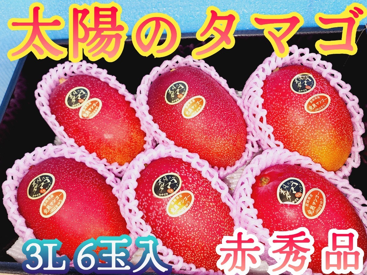 正規店仕入れの ❣️お得❣️宮崎県産 完熟マンゴー 18玉入 klubbdirekt.se