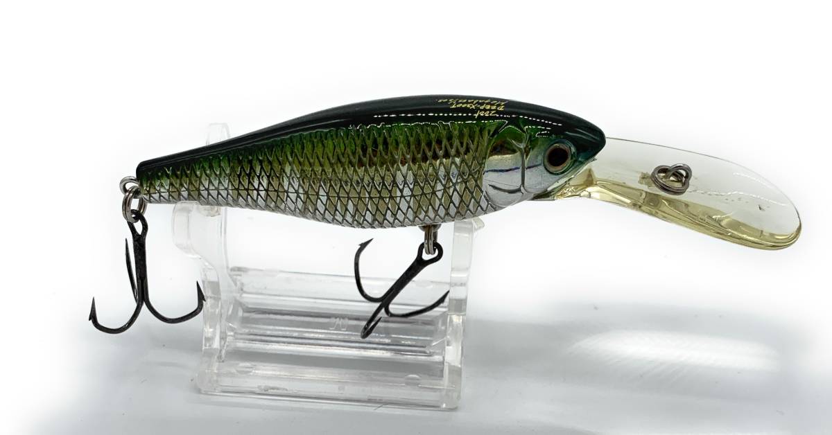 メガバス Megabass DEEP-X ディープX 200T オイカワ 美品 | www