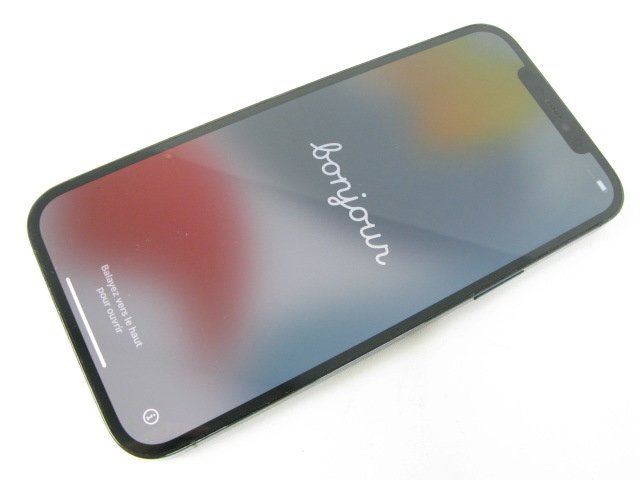 SIMフリー iPhone12 Pro Max 256GB パシフィックブルー【P9508】 | www