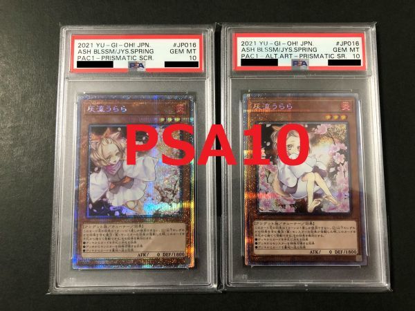 PSA10】遊戯王 灰流うらら 新旧２枚セット プリズマティック