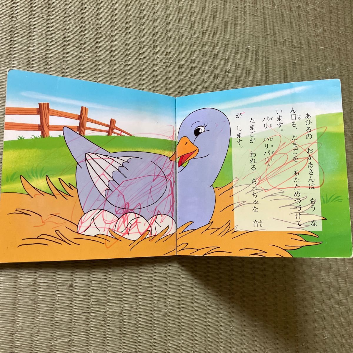 絵本のダメージ確認用 | noonanwaste.com
