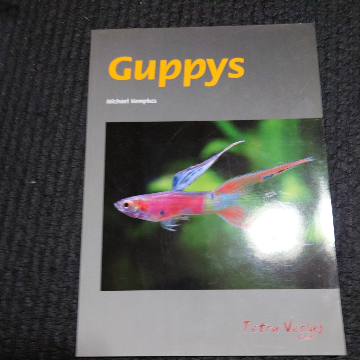 洋書 guppys ①全編ドイツ語です。 | www.terrabrasilis.com.br