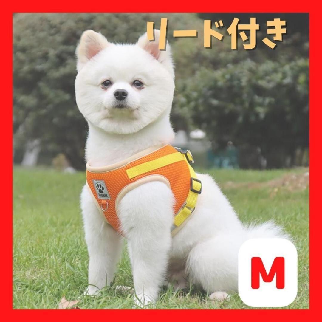 犬 オレンジ ハーネス リード セット M 黄色 散歩 かわいい カラフル