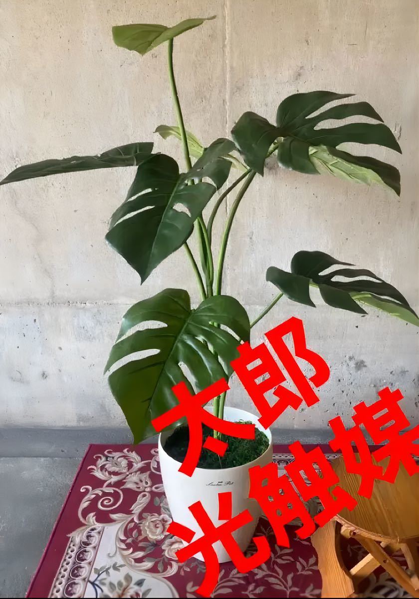 光触媒　人工観葉植物　ウォールグリーン　フェイクグリーン　モンステラ100_画像1