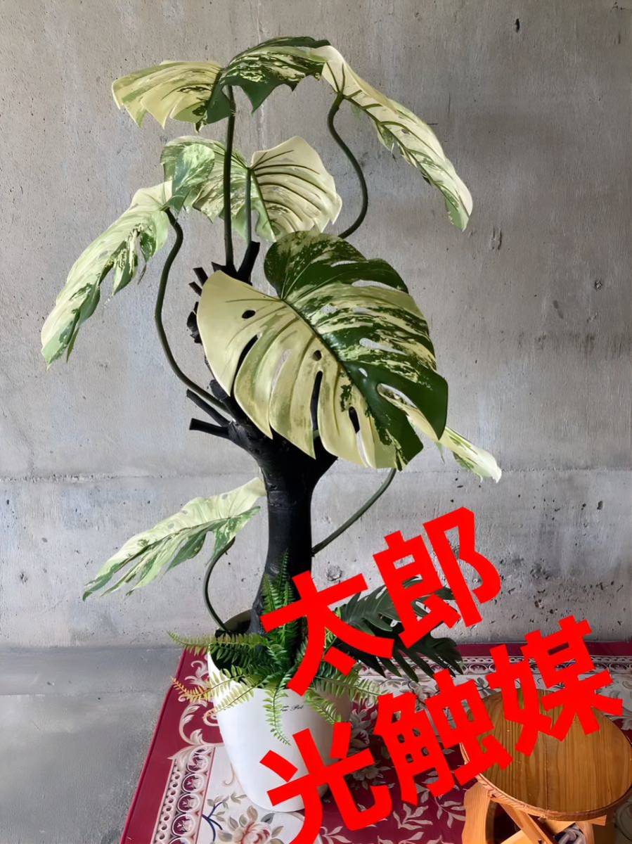 爆売りセール開催中！】 光触媒 人工観葉植物 ウォールグリーン