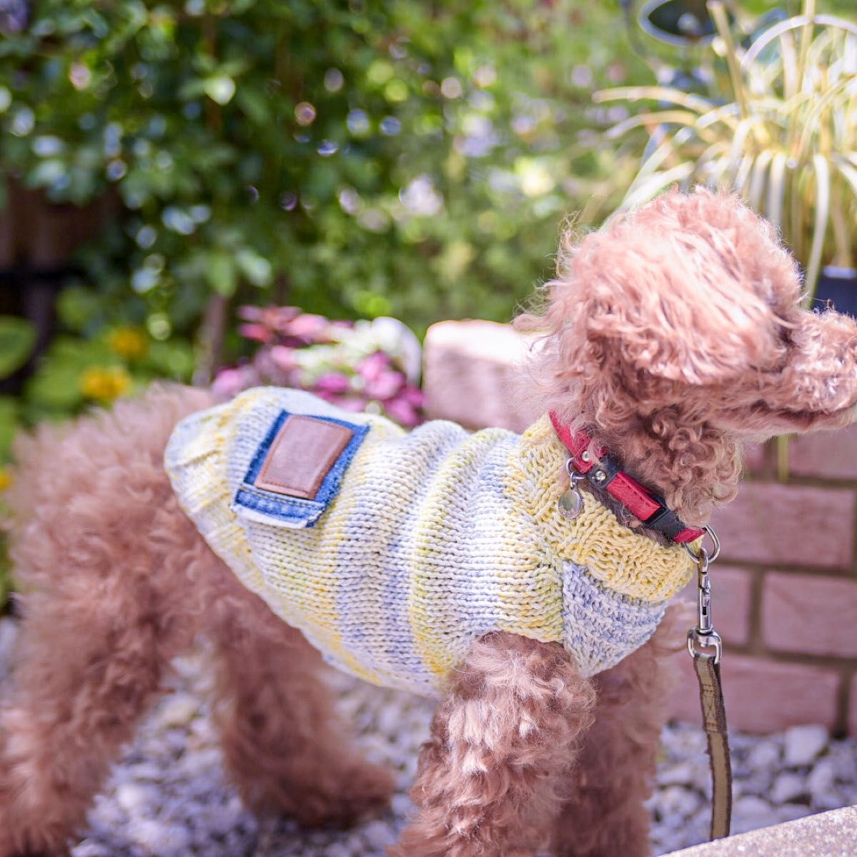 犬服 ハンドメイド 編み物 コットンベスト タンクトップ  ボーダー カラフル レインボー  小型犬 