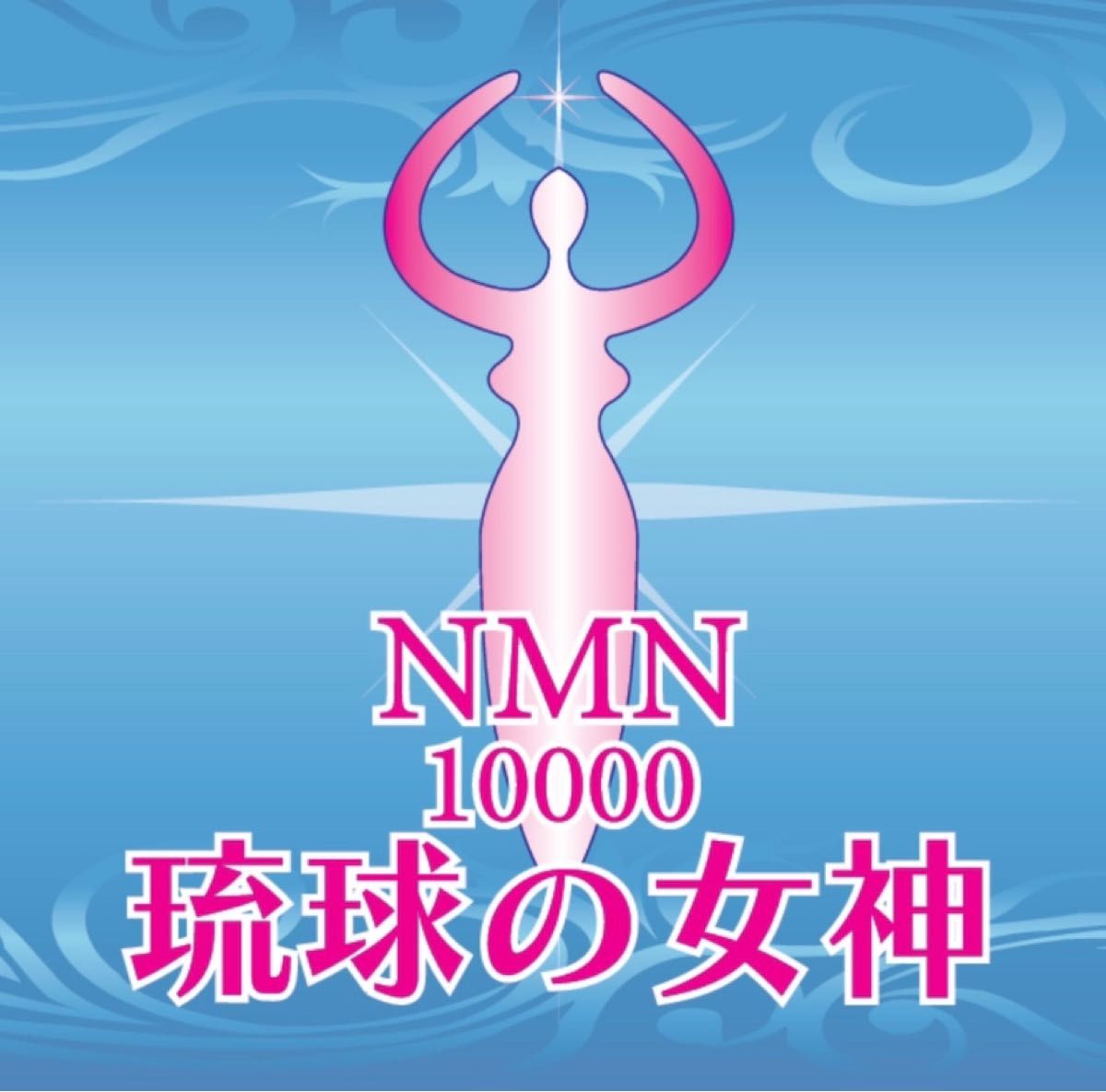 NMN 若返り　サプリメント　アンチエイジング　長寿　健康食品　2ヶ月分　健康寿命　NAD ビタミンB3  老化抑制　細胞修復　