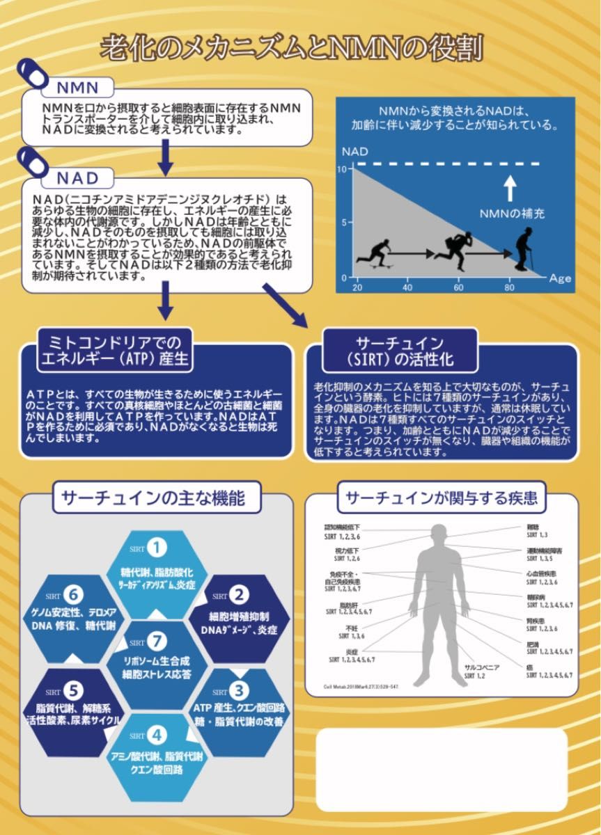 NMN 若返り　サプリメント　アンチエイジング　長寿　健康食品　2ヶ月分　健康寿命　NAD ビタミンB3  老化抑制　細胞修復　