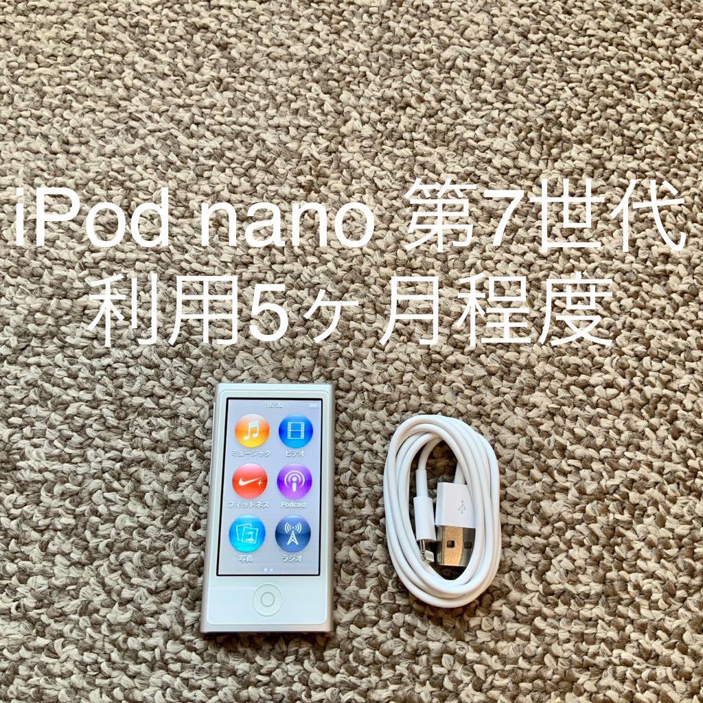 iPod nano 第7世代 16GB Apple アップル A1446 アイポッドナノ 本体